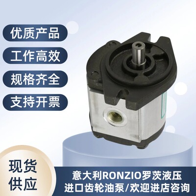 意大利罗茨RONZIO液压齿轮油泵05ZAG 01ZAG 02ZAG 02ZCG 03ZAG35