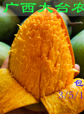 广西百色台芒现摘10斤包邮