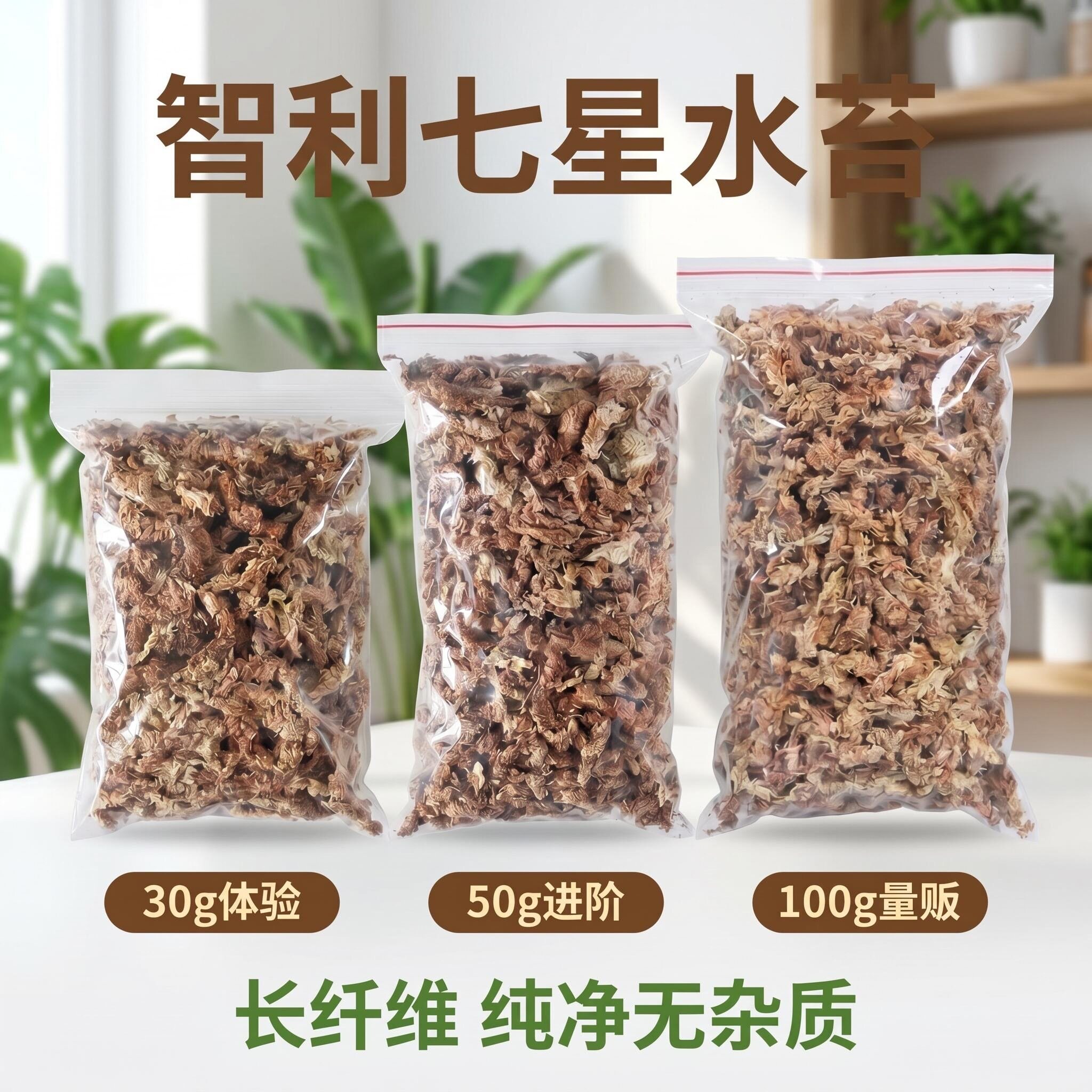 智利水苔进口毛毛虫蝴蝶兰鹿角撅专用七星干苔藓营养土爬宠垫材