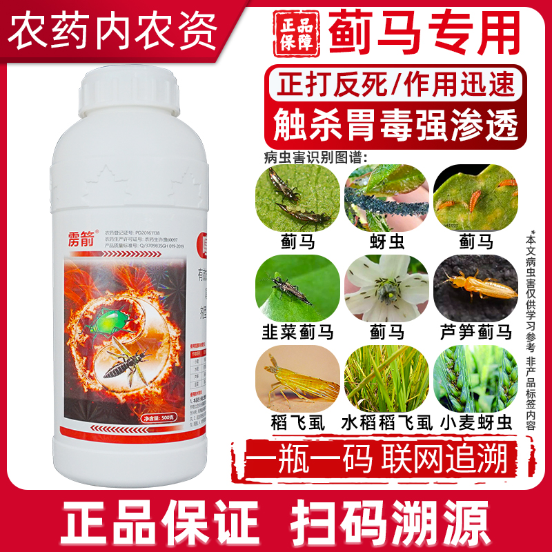 70%噻虫嗪杀虫剂农药蚜虫专用药蓟马专用药稻飞虱专用农药杀虫剂