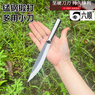 六顺锰钢锻打小刀水果刀瓜果刀去皮刀杀鱼杀鸡专用刀黄鳝刀小尖刀