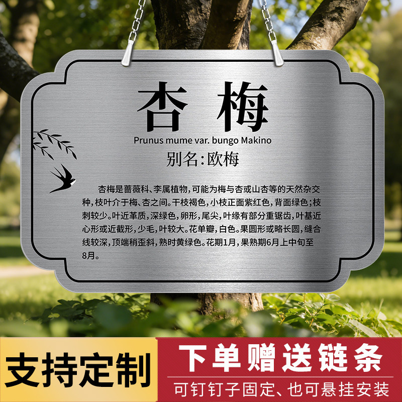 不锈钢树牌植树节挂牌定制植物绿植吊牌树木标识介绍牌树名牌铭牌