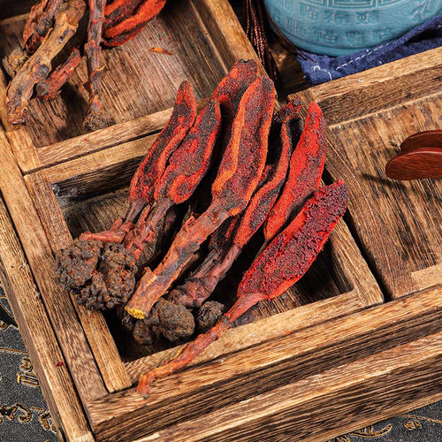 回春草干货新货500g不老草顶天柱