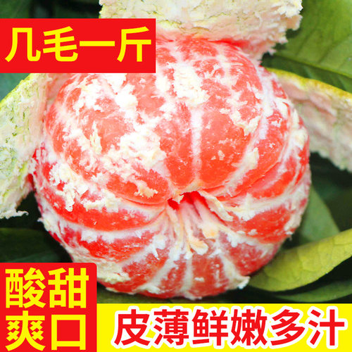 【万人抢购】湖北薄皮橘子青皮无籽蜜桔新鲜酸甜孕妇柑橘包邮