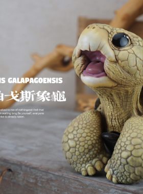 博物志原创｜2025吨吨动物园龟系列孤独乔治红腿陆龟潮玩手办模型