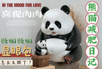 博物志原创熊猫减肥日记捏肚子PLUS版 限量送迷你版 熊猫潮玩手办
