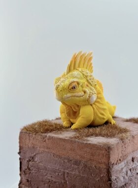 博物志出品-白化绿鬣蜥限定 爬宠模型手办潮玩爬宠模型ig鬣蜥蜥蜴