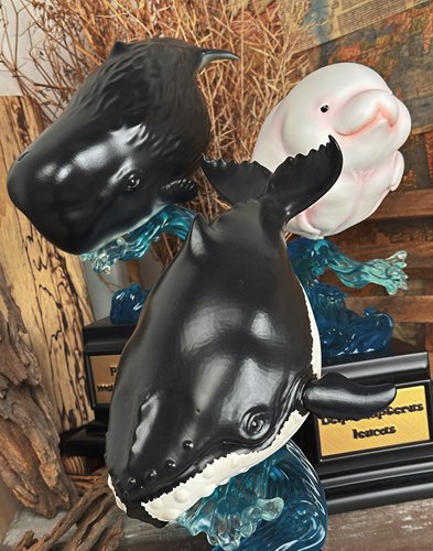 博物志原创鲸鱼PLUS限量版（白鲸抹香鲸座头鲸）鲸鱼潮玩手办模型