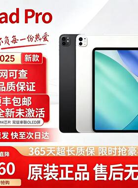 Apple/苹果 11 英寸 iPad Pro (2025)