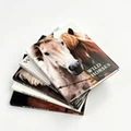 Set of 5 Notebooks in Black, White, Gray & Coffee - 302mm x 248mm x 25mm