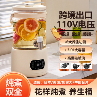 110V伏养生壶多功能玻璃煮茶器出国日本美国烧水壶加拿大带出水口
