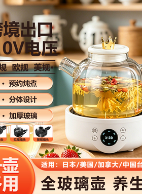 110V美规出口养生壶炖煮一体
