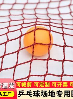 乒乓球围网场地围挡隔断软网乒乓球拦球网小网孔不漏球便携式围网