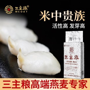 三主粮燕麦米内蒙古裸燕麦胚芽新米多肽免洗破壁粗粮米500g