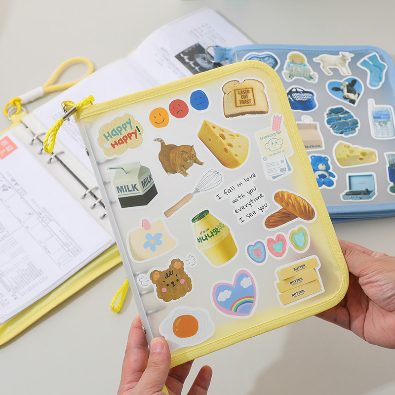 A5孕检产检蛇宝宝怀孕单子单据孕妈产妇收纳孕期A4考卷看病体检资