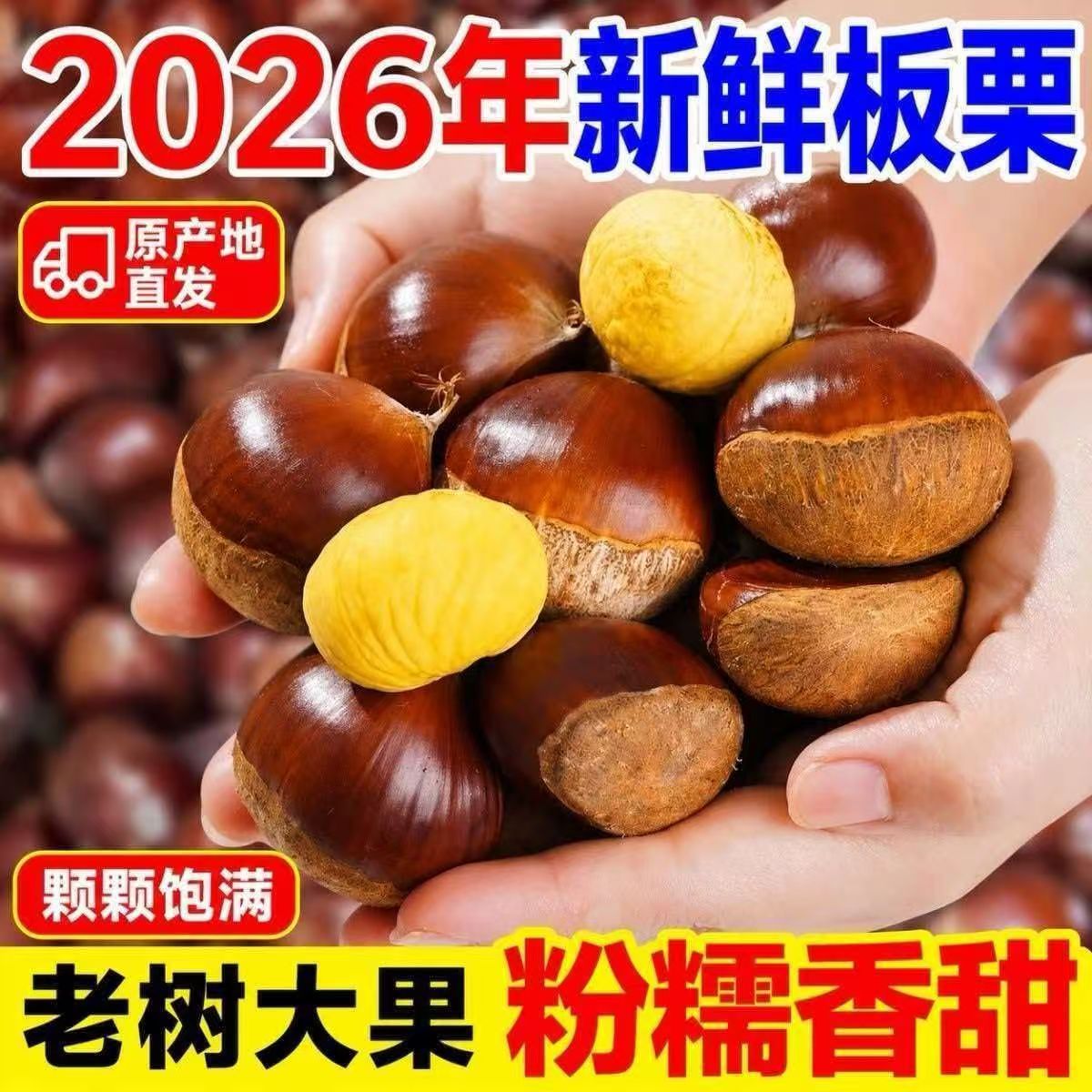 2026新板栗现摘新鲜板栗带壳生栗子毛栗子油栗高山老树新鲜板栗