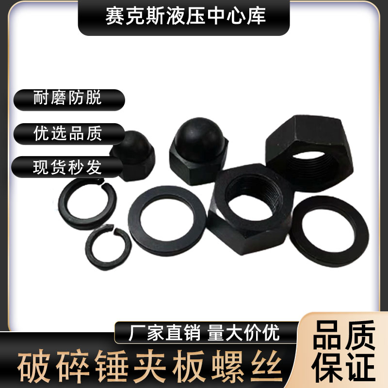 455368100140破碎锤夹板螺丝