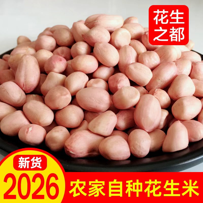 26年花生米新5斤3斤装正阳农家自种散装新正阳生花生干花生花生仁