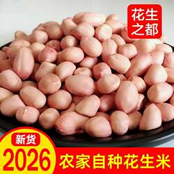 26年花生米新5斤3斤装正阳农家自种散装新正阳生花生干花生花生仁