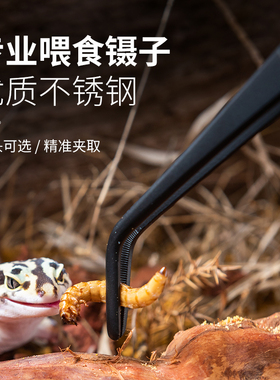 SuperRep爬虫不锈钢防水专业喂食镊子爬宠鳄龟乌龟变色龙守宫蟋蟀