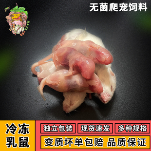 【顺丰包邮】冷冻乳鼠红粉皮白霜冰冻独立包装爬宠宠物饲料喂蛇
