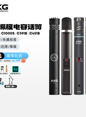 AKG/爱科技专业小振膜电容乐器麦克风 P170/C1000S/C391B/C451B