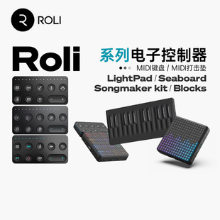 Block25键49键五维MIDI键盘控制器 RISE Roli Seaboard