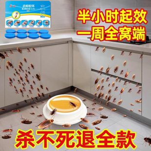 灭蟑螂药家用杀蟑胶饵剂贴屋全窝端非无毒孕妇婴儿神器杀蟑螂蚂蚁