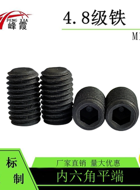 M12X8-100碳钢发黑GB77 4.8级内六角平端紧定螺钉无头机米螺丝顶