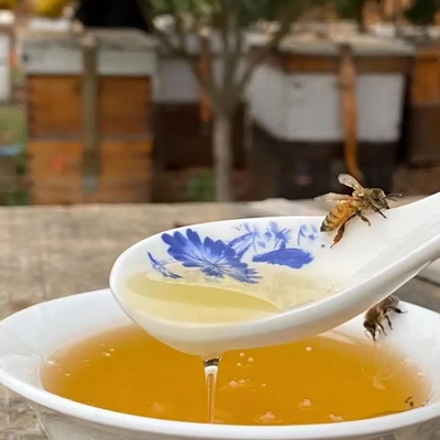 茂名高州正宗纯正荔枝蜜