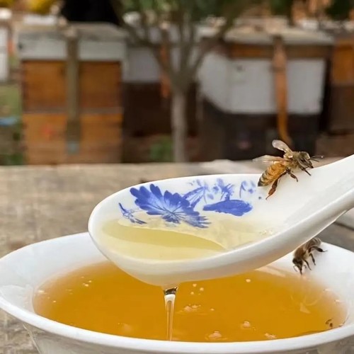 茂名高州正宗纯正荔枝蜜