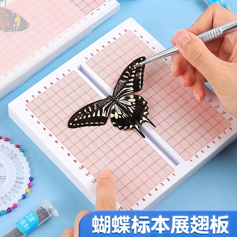 蝴蝶标本展翅板制作工具