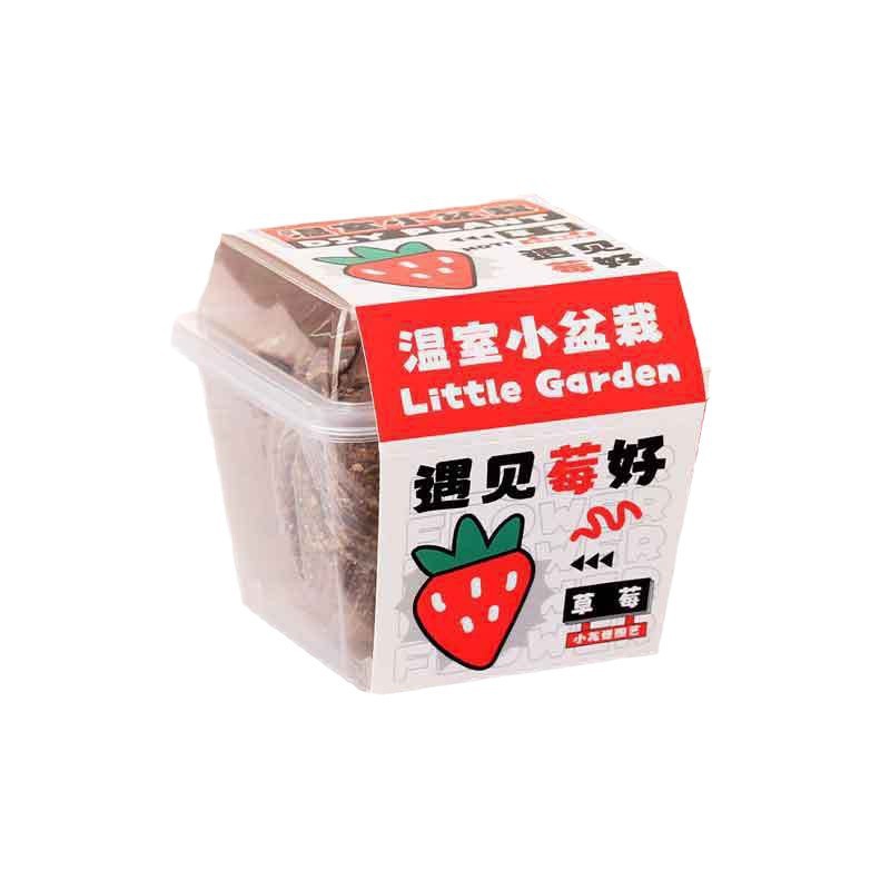 新款儿童种植盆栽盲盒学图片