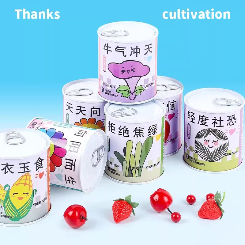 儿童植物罐头创意小盆栽图片