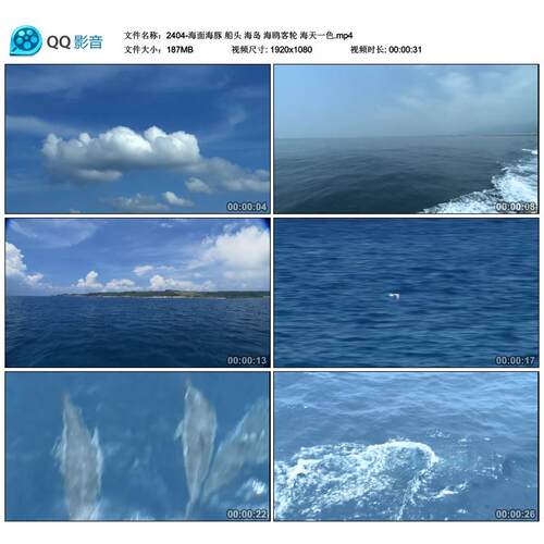 海面海豚 船头 海岛 海鸥客轮 海天一色 中国高清视频素材