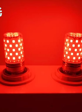 E12红色玉米灯佛灯灯笼主播美颜补光220V110V节日灯笼婚庆喜庆