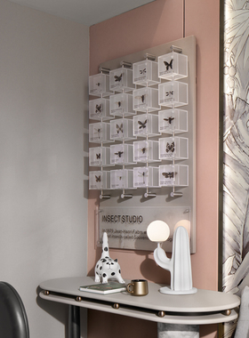 八度空间贝壳蝴蝶昆虫植物标本照片墙售楼部样板间教育展示装置