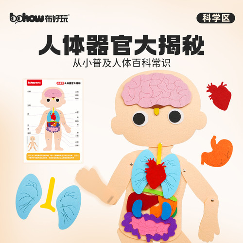 布好玩科学区认识人体器官玩具