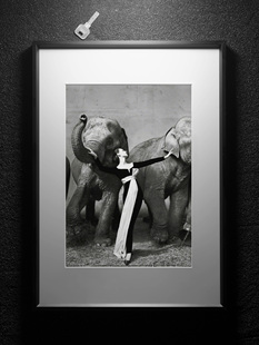 摄影装饰画 摄影师Richard Avedon的名作 轻奢高级感客厅艺术挂画
