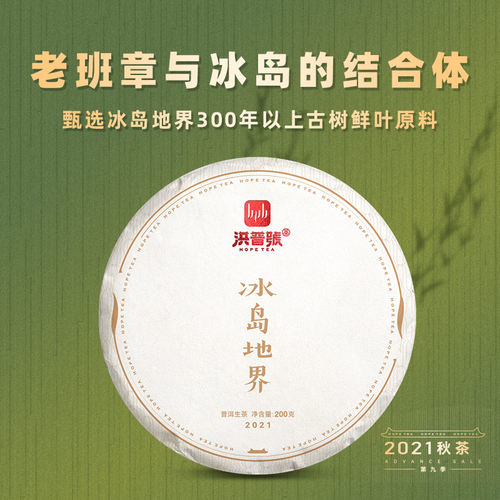 洪普号2021秋冰岛地界生茶古树纯料云南普洱茶饼茶 - 封面