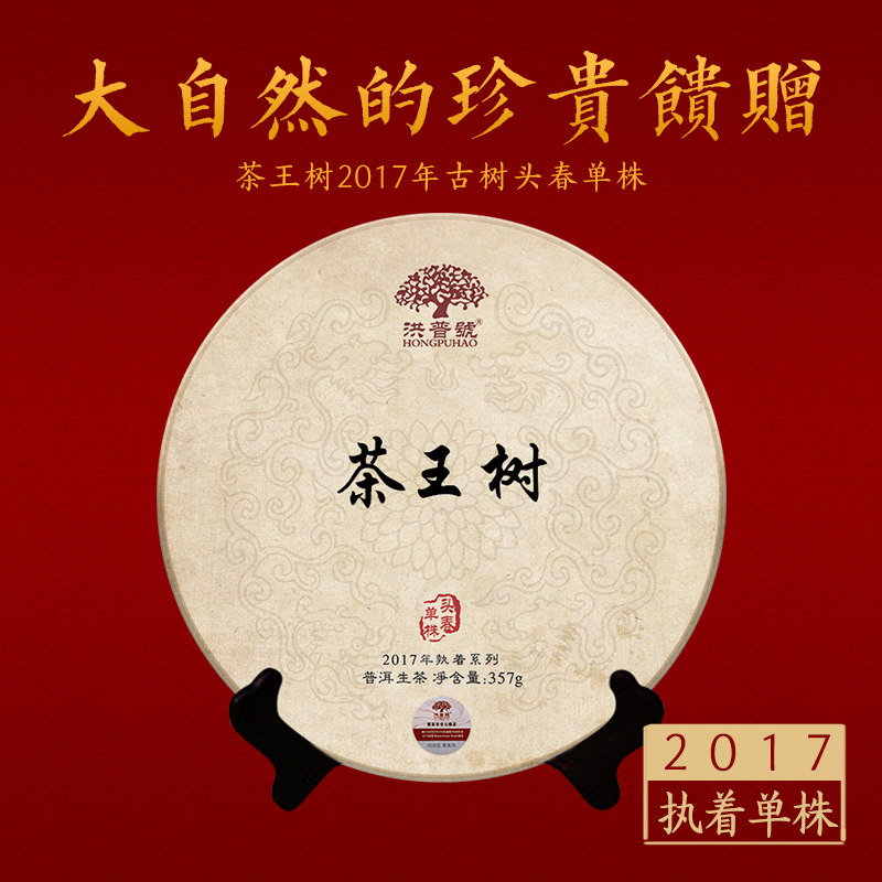 洪普号头春执着单株生茶古树纯料