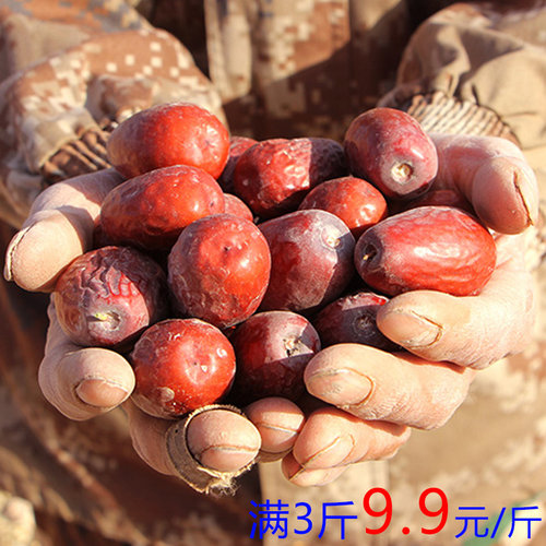 树上风干未洗新疆小骏枣