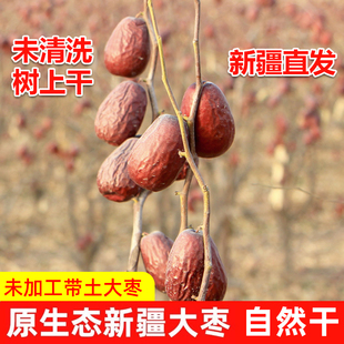 新疆大枣原生态2025年新红枣未清洗树上挂干5斤特级和田大枣
