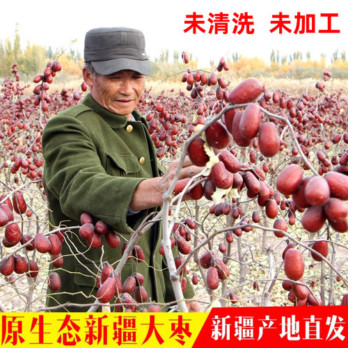 2025年新枣原生态新疆和田大枣