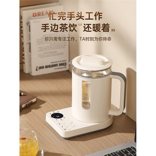 印趣养生壶多功能小型烧水壶110V美国日本加拿大出口家用花茶壶