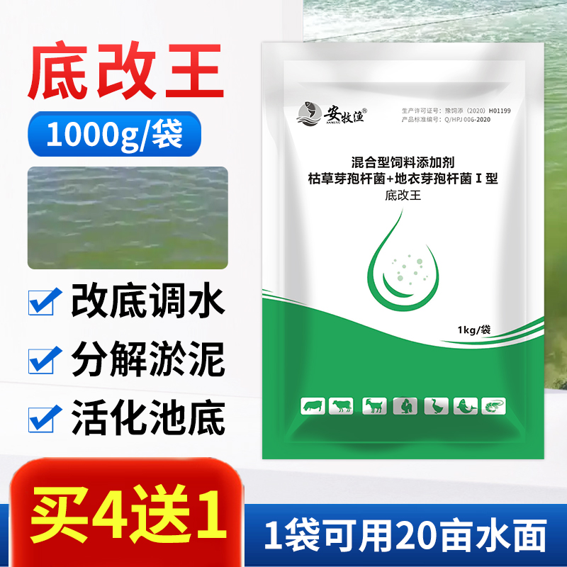 水产养殖底改王专用药芽孢杆菌