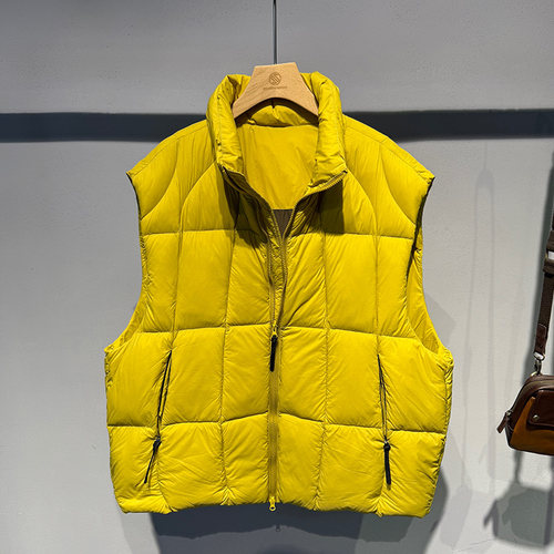 简约百搭纯色立领韩版羽绒马甲