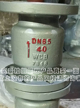 铸钢立式法兰止回阀H42H-16C消防蒸汽自来水道单向止逆 阀门开关