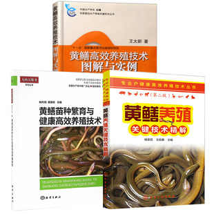黄鳝养殖关键技术精解 黄鳝高效养殖技术图解与实例 黄鳝苗种繁育与健康高效养殖技术科学饲养黄鳝书鳝鱼繁殖防治病技术 全3册