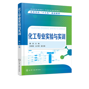 董凯高等院校化学工程与工艺及相关专业实验实训教材化工生产管理科研和设计 化工专业实验与实训 工程技术人员参考使用 书籍 正版